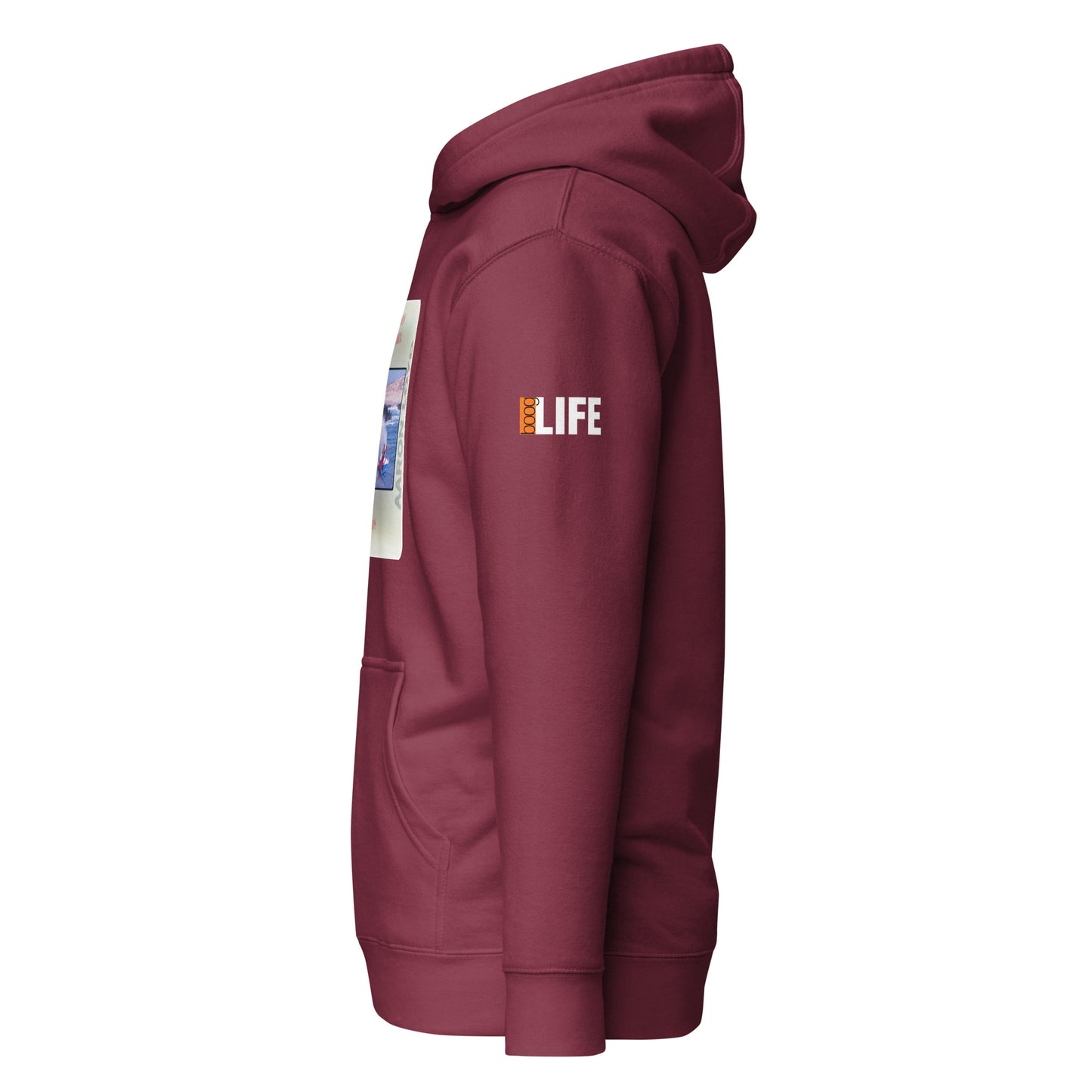 Pat Caldwell boogLIFE Aaron Loyd Hoodie (apr24) - Slide